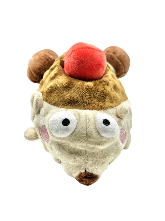 Hedgehog Hide & Squeak Toy